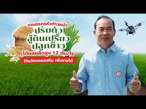 เกษตรกรหัวก้าวหน้าปรับตัวสู้ดินเปรี้ยว ปลูกข้าวได้ผลผลิตสูง1.2 ตัน/ไร่