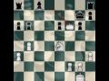 Br41nNinja: Chess Match 57