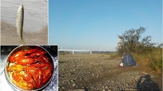 是政多摩川で釣り&ソロキャンプ、川原で食べるケイジャン料理は最高!!