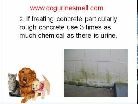 how to remove urine smell from concrete