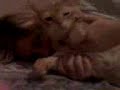 My cat XD