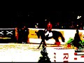 showjumping at it\
