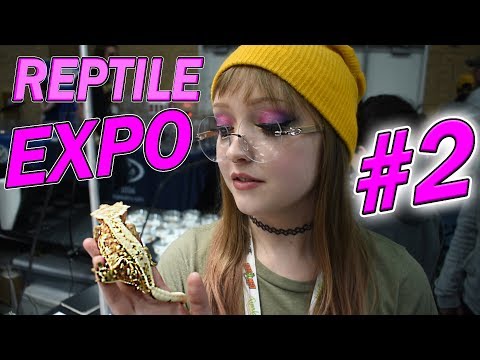 YouTube reptile video