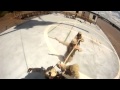 SPIE Rigging Marines with Helmet Cam -- Marine Week St. Louis
