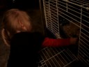 petting thumper