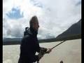 Sturgeon, Fraser River