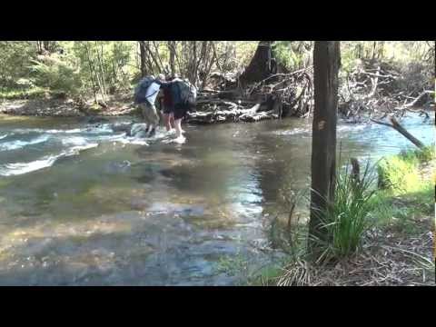 How to cross a river safely by AdventurePro