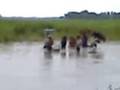 flood in bihar(supaul & araria) 3