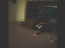 Jules Jamming Out