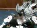videos de bionicle casting 1.3gp