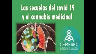 LAS SECUELAS DE COVID 19 Y EL CANNABIS MEDICINAL
