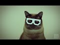 El gato con gafas