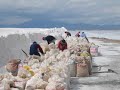 Pictures of South America 3
