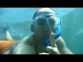Click here to watch this video Snorkeling in Sydney (Shelly Beach  Cabbage Tree Bay)