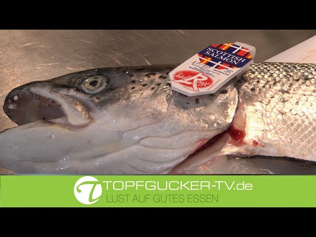 Wie beizt man einen (Schottischen Wild-) Lachs? | Topfgucker-TV bei Sternekoch Biedlingmaier Wie beizt man einen (Schottischen Wild-) Lachs? | Topfgucker-TV bei Sternekoch Biedlingmaier