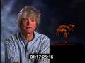 Evolution vs. Creationism:Creationism's Negative Effects
