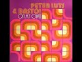 Peter Luts & Basto!-On My Own