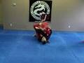 Drop Kick: Sweep from a Stacked Rubber Guard