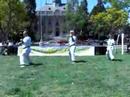14th Annual APIC Festival - April 26,...