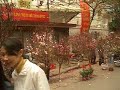 Cho hoa Ha Noi Tet Dinh Hoi 2007 ... Hoa Dao` Nam nay rat' la` khan hiem' nen gia' ca? co' phan` len cao hon nam ngoai'gap^' doi^, Va` toi cung~ nhge noi' nhieu` tran. MUA DA' truoc' TET' da~ tan` pha' huy? hoai. rat' nhieu` cay^ coi' tai Mien` BAC' nam nay trong do' co' ca? luon^ nhung~ Cay^ va` Canh` Dao` Xinh Dep. nay` ... Cung~ co' Tin Don^` la` vi` anh? huong? Kinh Te^' canh. tranh nen^ co' Lang` nay` da~ dung` DDoc^. Ke^' BIT' cau^` cong^' cua? Lang` khac' cung~ trong^` DAO` nhu lang` cua? ho. ... Mua` Mua lu~ Nuoc' Mua khong Thoat' ra cong' ranh~ duoc (Vi` da~ bi. LANG` khac' BIT. Cong^') Nuoc' qua' nhieu` ddam^ ra thui' Re^~ cac' cay^ Dao` cua? lang` no. nen^ Thua kien. nhau tum` lum ca? 2 Lang` thieu' dieu` muon' Thanh Toan' nhau bang` VU~ LUC, MA~ TAU', Sung' AK, Dao gam, Gay. goc^. da~ san~ Sang` thi` Nha` Nuoc' nhay? vao` Boi` Thuong` cho phe Thiet. Hai. va` Giang? Hoa` de^? tranh' canh? XUNG DOT nguy hiem? cho ca? 2 ben^ ... Tim` Hieu^?, Mua nha`, ban' nha`, dau^` Tu Dia Oc' tai Little Saigon - California - USA xin vao` trang web cua? chung' toi^ ... http://www.VinnyTran.com
