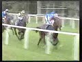 Hurricane Run?KingGeorgeVI & QueenElizabethDiamondStakes Hurricane Run?KingGeorgeVI & QueenElizabethDiamondStakes