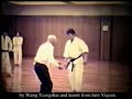 sawai kenichi soshi