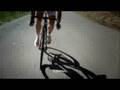 Bettini Advert