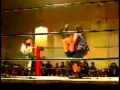 Trailer Chilean Botchamania