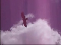 Cazorla por las nubes