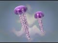 Liquid Bamboo ( ambient tribal trance) Liquid Bamboo ( ambient tribal trance)