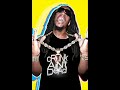Lil Jon feat. Mr. Sche  Pimpminista - Getting Crunk (Remix)