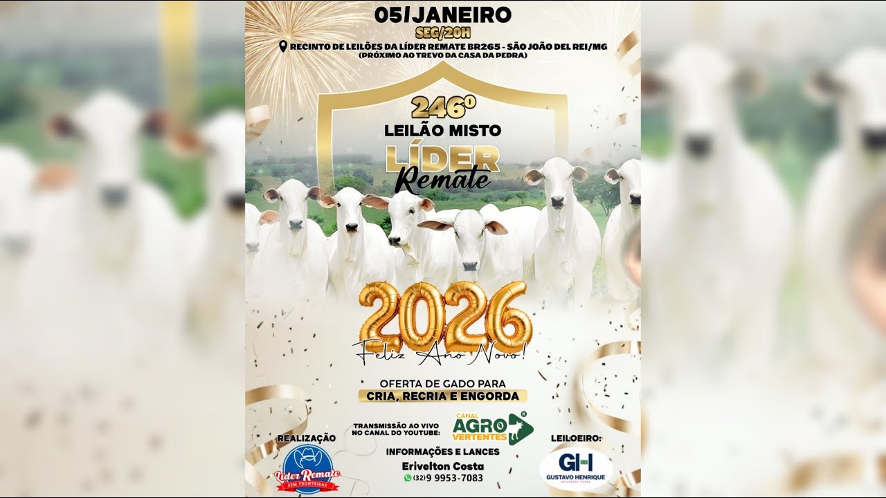 246º LEILÃO MISTO LÍDER REMATE - 05/01/2026