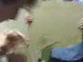 stupid karate