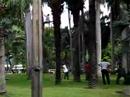 Lumpini Park - View around