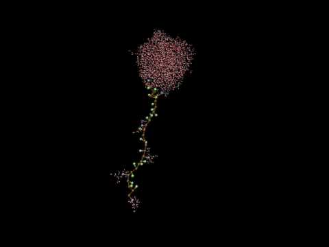 how to dissolve hydrophobic peptides