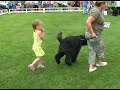 Jong geleerd..... Oud gedaan