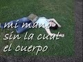 la mano - el ultimo aliento (gelu vlasin & cristina vlasin)