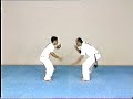 Advanced Capoeira. Mestre Paulao Ceara. 02