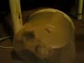 Hamster Topu