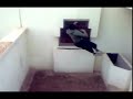 parkour spider boy and parkour 3x rabat in fbs le 04/01/2009