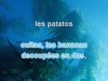le fameux succ�s du pr�sentateur du juste prix en karaok�. remarquez les magnifiques laminaires en fond. mont� � l'aide de karafun, mais aussi de virtual dub...