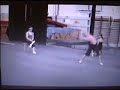 Musical Chairs