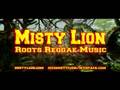 pub (misty lion)