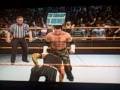 Matt Hardy vs Jeff Hardy Ladder Match Matt Hardy vs Jeff Hardy Ladder Match