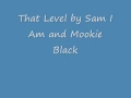 Sam I Am That Level Official Music Video and Lyrics