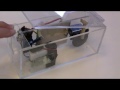 The perpetual motion is completed!