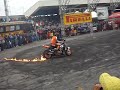 cobra-moto-show