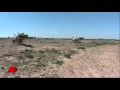   - Parts of Libya Fall, Army Base Abandoned 