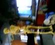 Mr bones part 2!