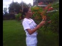 KRIZEL ON FIRST LOVE KRIZEL ON FIRST LOVE